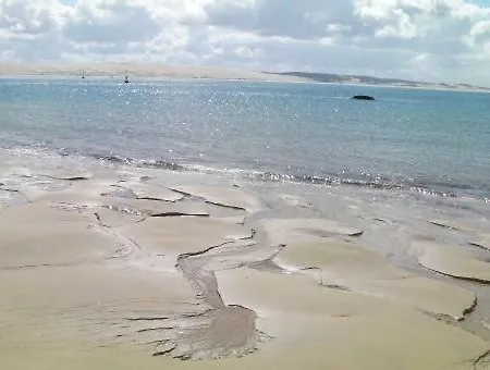 Le De L'océan Lège-Cap-Ferret